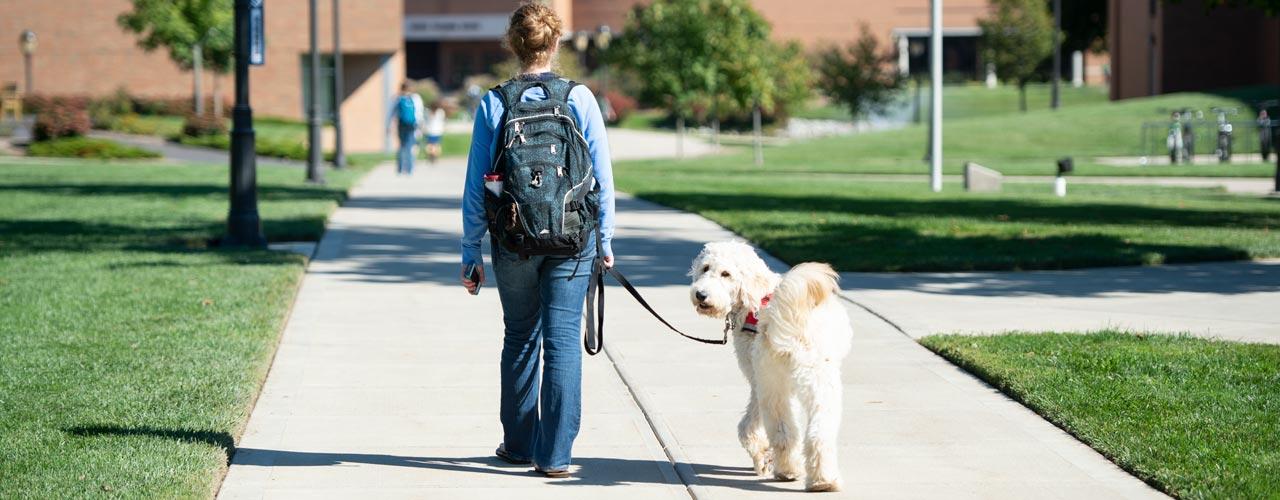 图为女学生带着服务犬散步，而服务犬正看着镜头