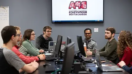 小组在计算机实验室工作.